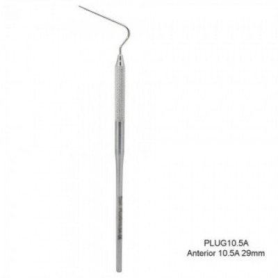 Anterior 10.5 (29mm)